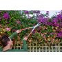 PrecisionCUT Aluminum Hedge Shears – Corona – 7-1/4″